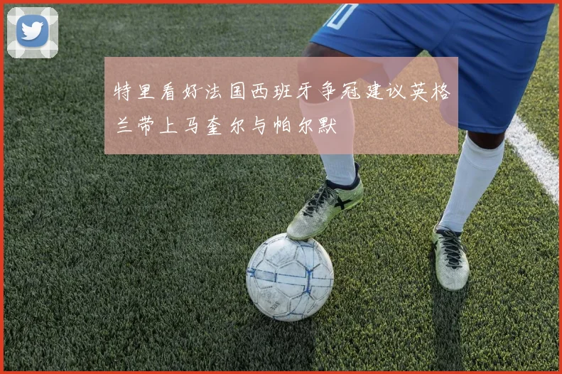 特里看好法国西班牙争冠建议英格兰带上马奎尔与帕尔默