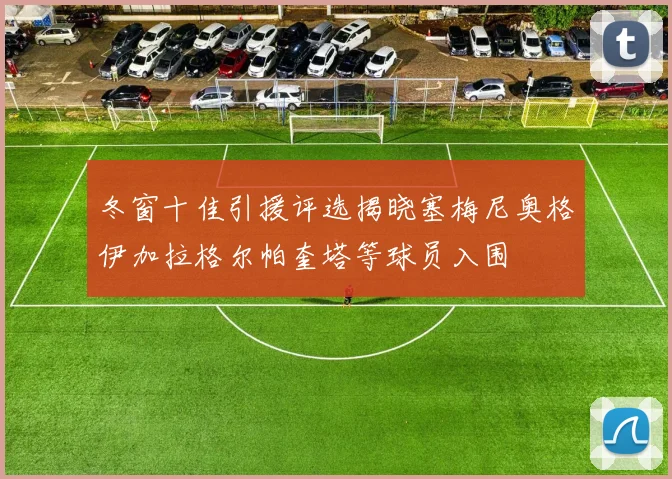 冬窗十佳引援评选揭晓塞梅尼奥格伊加拉格尔帕奎塔等球员入围